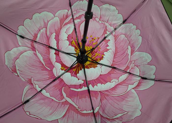 Introducing The World's First Electric Umbrella With UPF50 UV Protection 53.5 Cm * 6 Ribs