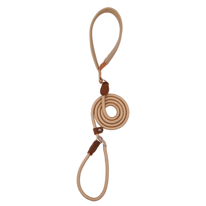 Anti-Pull Dog Leash with Padded Nylon and Leather Handle