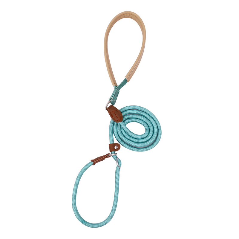 Anti-Pull Dog Leash with Padded Nylon and Leather Handle