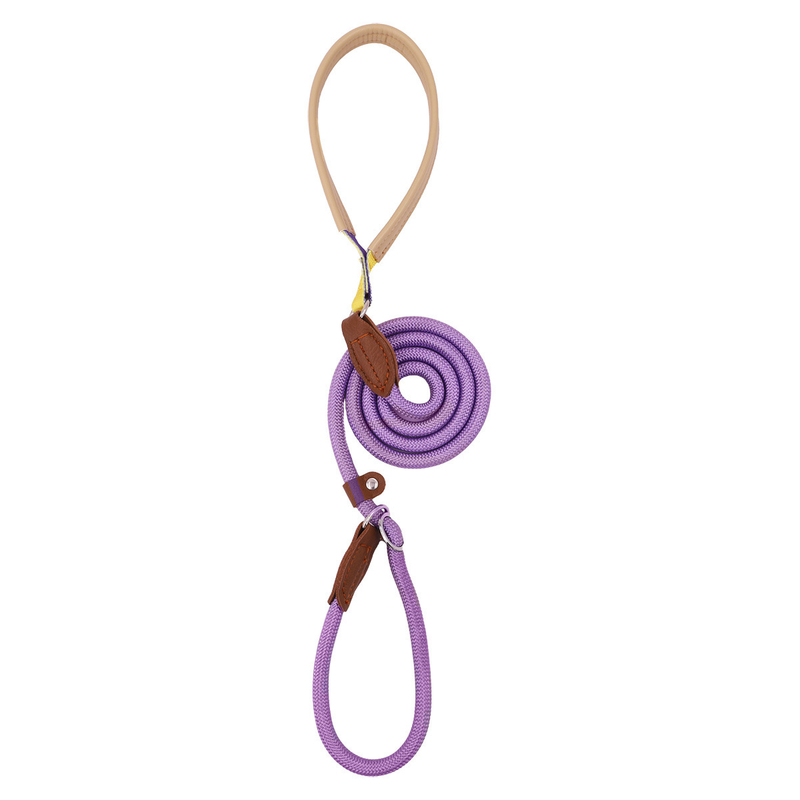 Anti-Pull Dog Leash with Padded Nylon and Leather Handle