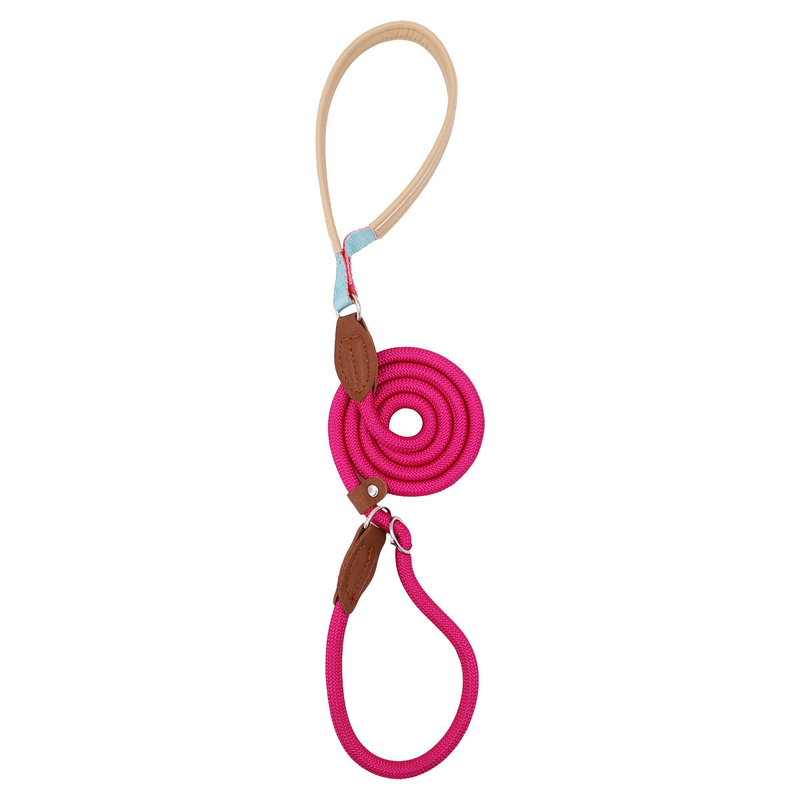 Anti-Pull Dog Leash with Padded Nylon and Leather Handle