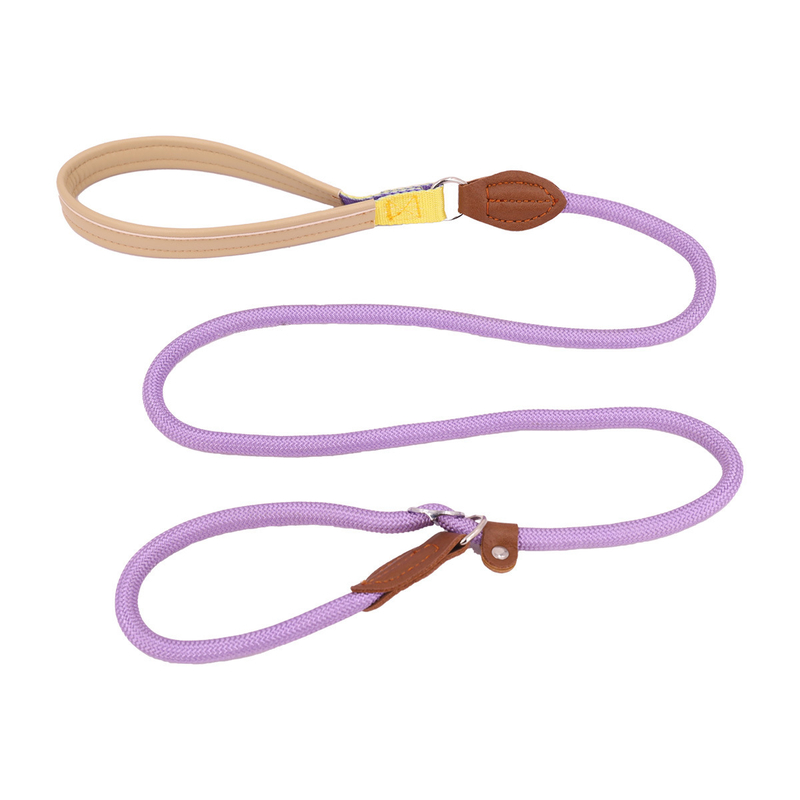 Anti-Pull Dog Leash with Padded Nylon and Leather Handle