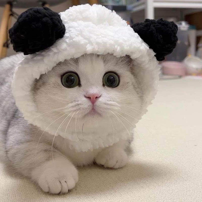 Cashmere Pet Hat for Small Dogs - Adjustable Bear Plush Winter Headpiece