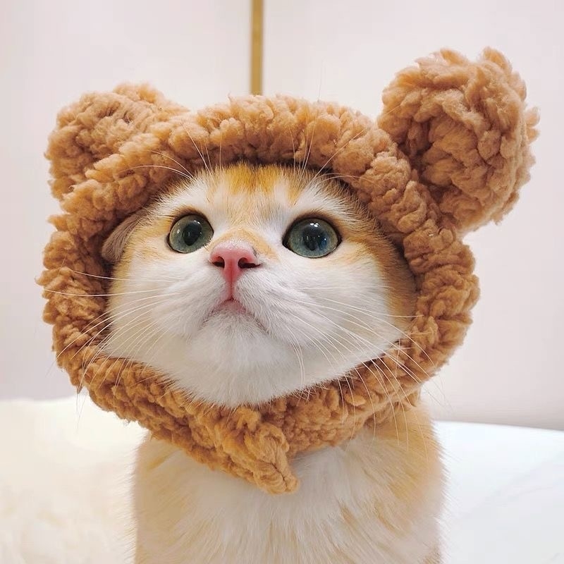 Cashmere Pet Hat for Small Dogs - Adjustable Bear Plush Winter Headpiece