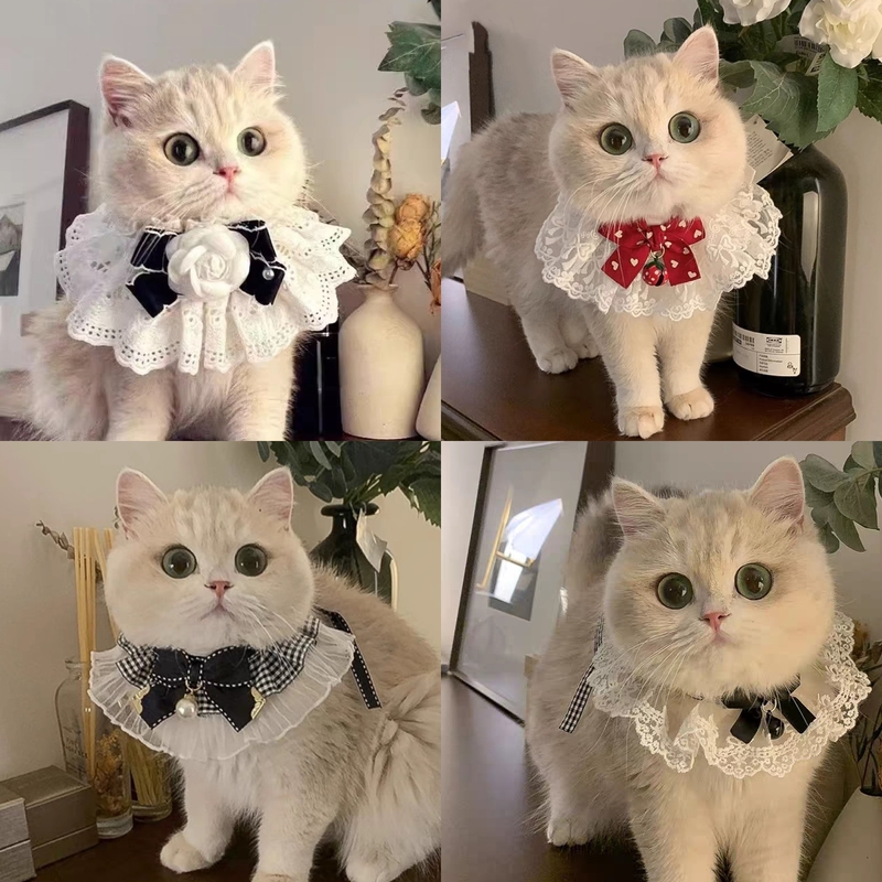 Mint Fresh Lace Bib Collar for Cats with Adjustable Tie